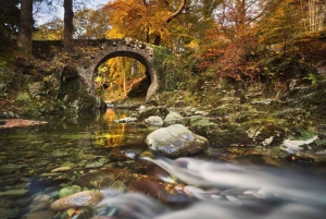 From Dublin: Full-Day Game of Thrones Filming Locations Tour