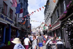 Vanuit Dublin: Galway + Cliffs of Moher Boottocht in het Spaans