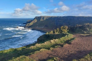 From Dublin: Giants Causeway Private Tour