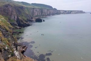 From Dublin: Giants Causeway Private Tour