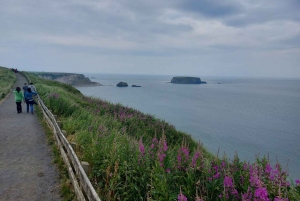 From Dublin: Giants Causeway Private Tour