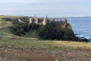 From Dublin: Giants Causeway Private Tour