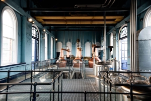 Desde Dublín: Excursión a la Calzada del Gigante y Cata de Whisky