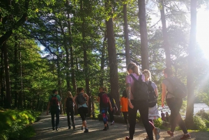 From Dublin: Glendalough Valley Guided Hiking Tour