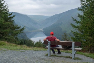 From Dublin: Glendalough Valley Guided Hiking Tour