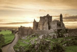 From Dublin: Golden Vale Private Tour