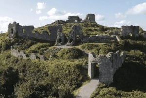 From Dublin: Golden Vale Private Tour