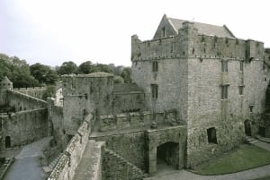 From Dublin: Golden Vale Private Tour