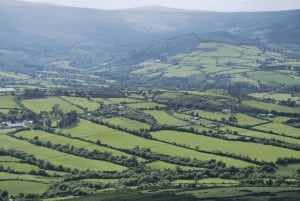 From Dublin: Golden Vale Private Tour