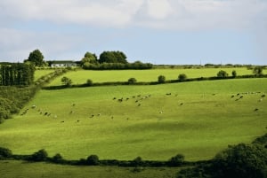 From Dublin: Golden Vale Private Tour