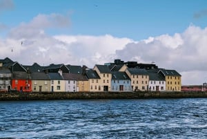 Desde Dublín: Excursión guiada de un día a los Acantilados de Moher y Galway