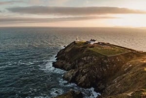 From Dublin: Half-Day Guided Coastal Tour to Howth Village