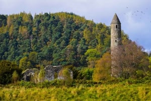 From Dublin: Half-Day Trip to Glendalough and Wicklow
