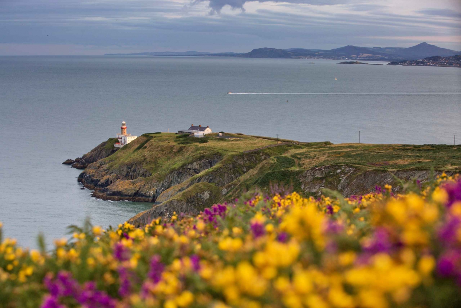 From Dublin: Howth Coastal Half-Day Bus Tour with Live Guide