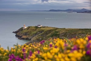 From Dublin: Half-Day Guided Coastal Tour to Howth Village