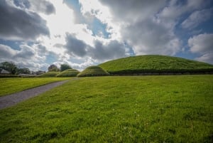 Из Дублина: частная однодневная поездка в Ньюгрейндж и долину реки Бойн