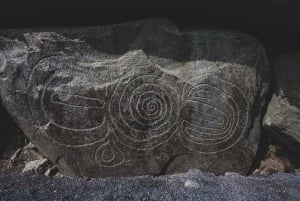 Из Дублина: частная однодневная поездка в Ньюгрейндж и долину реки Бойн