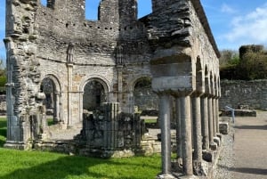 Из Дублина: частная однодневная поездка в Ньюгрейндж и долину реки Бойн