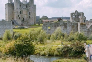 Z Dublina: Newgrange, Tara, zamek Trim i Four Knocks