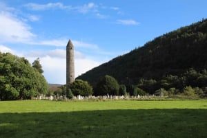 From Dublin: Wicklow & Glendalough Tour with Sheepdog Demo