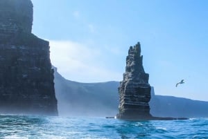 From Dublin: Private Cliffs of Moher Day Tour with Transport