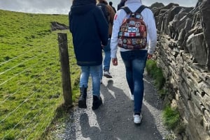 From Dublin: Private Cliffs of Moher Day Tour with Transport