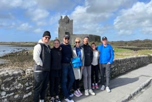 From Dublin: Private Cliffs of Moher Day Tour with Transport