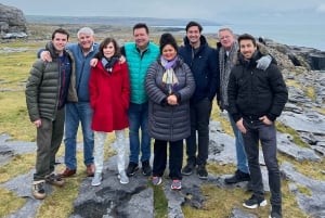 From Dublin: Private Cliffs of Moher Day Tour with Transport