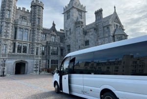 From Dublin: Private Cliffs of Moher Day Tour with Transport