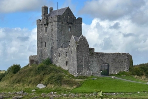 From Dublin: Private Cliffs of Moher Tour