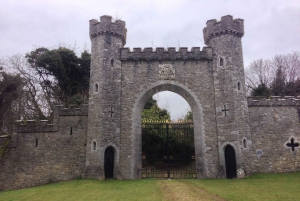 From Dublin: Private Newgrange & Boyne Valley Tour