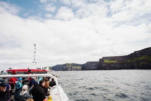 Vanuit Dublin:Semi privérondleiding langs de Cliffs of Moher, Galway