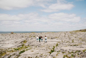 Vanuit Dublin:Semi privérondleiding langs de Cliffs of Moher, Galway