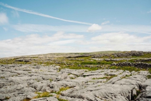 Vanuit Dublin:Semi privérondleiding langs de Cliffs of Moher, Galway