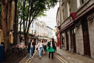 Vanuit Dublin:Semi privérondleiding langs de Cliffs of Moher, Galway