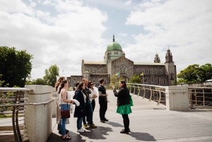 Vanuit Dublin:Semi privérondleiding langs de Cliffs of Moher, Galway