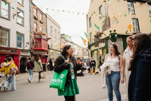 Vanuit Dublin:Semi privérondleiding langs de Cliffs of Moher, Galway