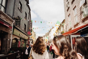 Vanuit Dublin:Semi privérondleiding langs de Cliffs of Moher, Galway