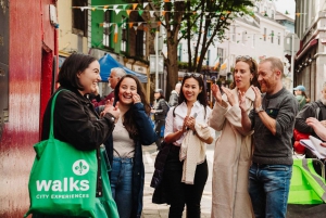 Vanuit Dublin:Semi privérondleiding langs de Cliffs of Moher, Galway