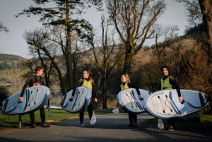 Vanuit Dublin: Stand Up Paddleboarden