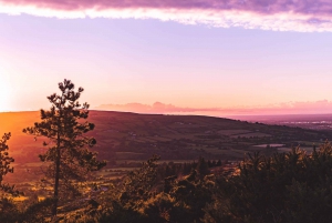 From Dublin: Ticknock Guided Sunset Hike