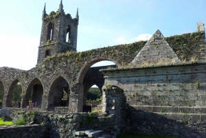 Vanuit Dublin: Premium Wicklow en Glendalough dagtour