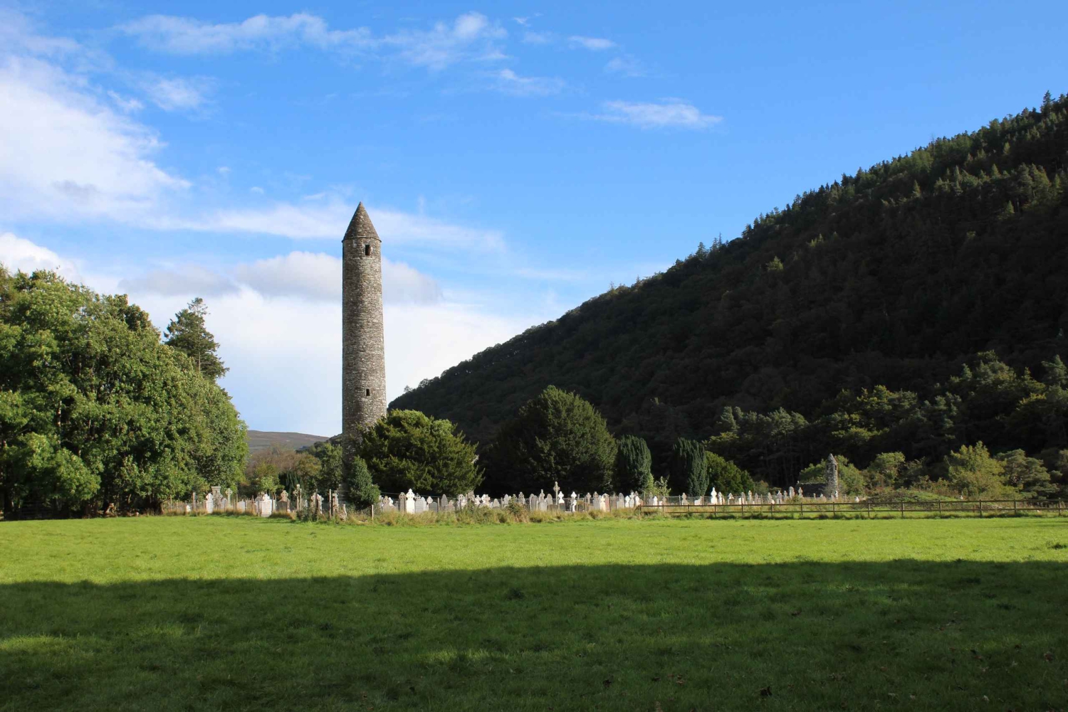 Från Dublin: Wicklow, Glendalough, vattenfall och fårhundsdemo
