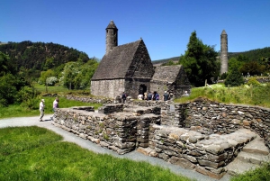 Från Dublin: Wicklow, Glendalough, vattenfall och fårhundsdemo