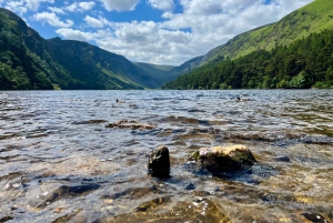 Från Dublin: Wicklow, Glendalough, vattenfall och fårhundsdemo