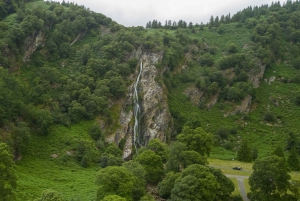 Från Dublin: Wicklow, Glendalough, vattenfall och fårhundsdemo