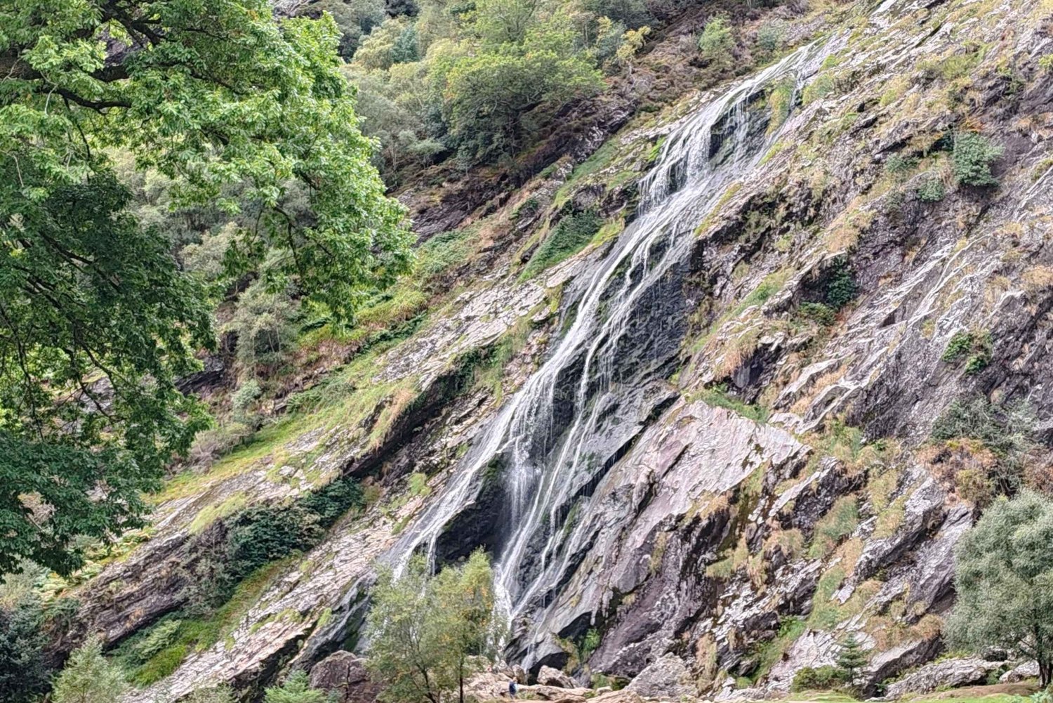 Vanuit Dublin: Privétour door de Wicklow Mountains en Glendalough