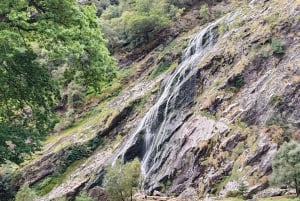 Dublinista: Wicklow Mountains ja Glendalough Yksityinen kiertoajelu