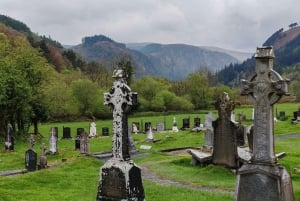 Dublinista: Wicklow Mountains ja Glendalough Yksityinen kiertoajelu