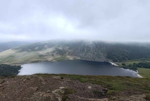 Dublinista: Wicklow Mountains ja Glendalough Yksityinen kiertoajelu